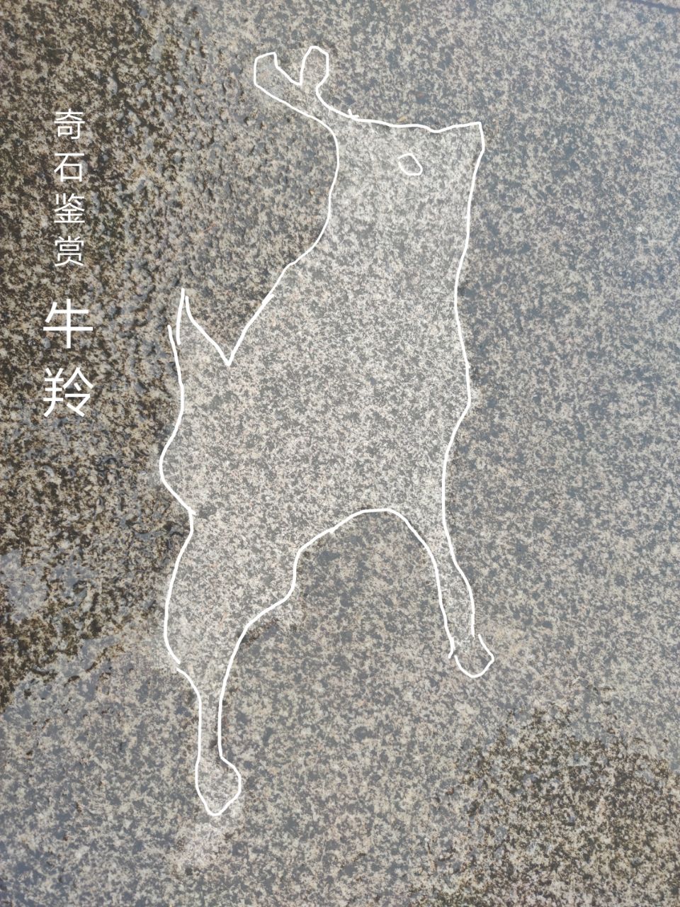 20231112074050front2_0_6080161_FlfmOUx3xF93eDuf5sdoyoKga5ne.jpg