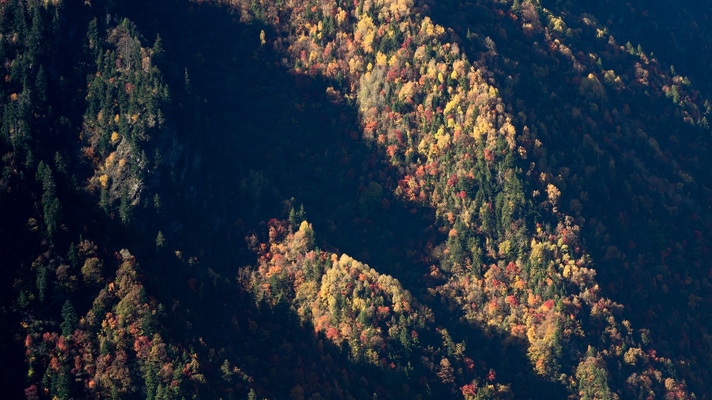 PB010205ab.jpg
