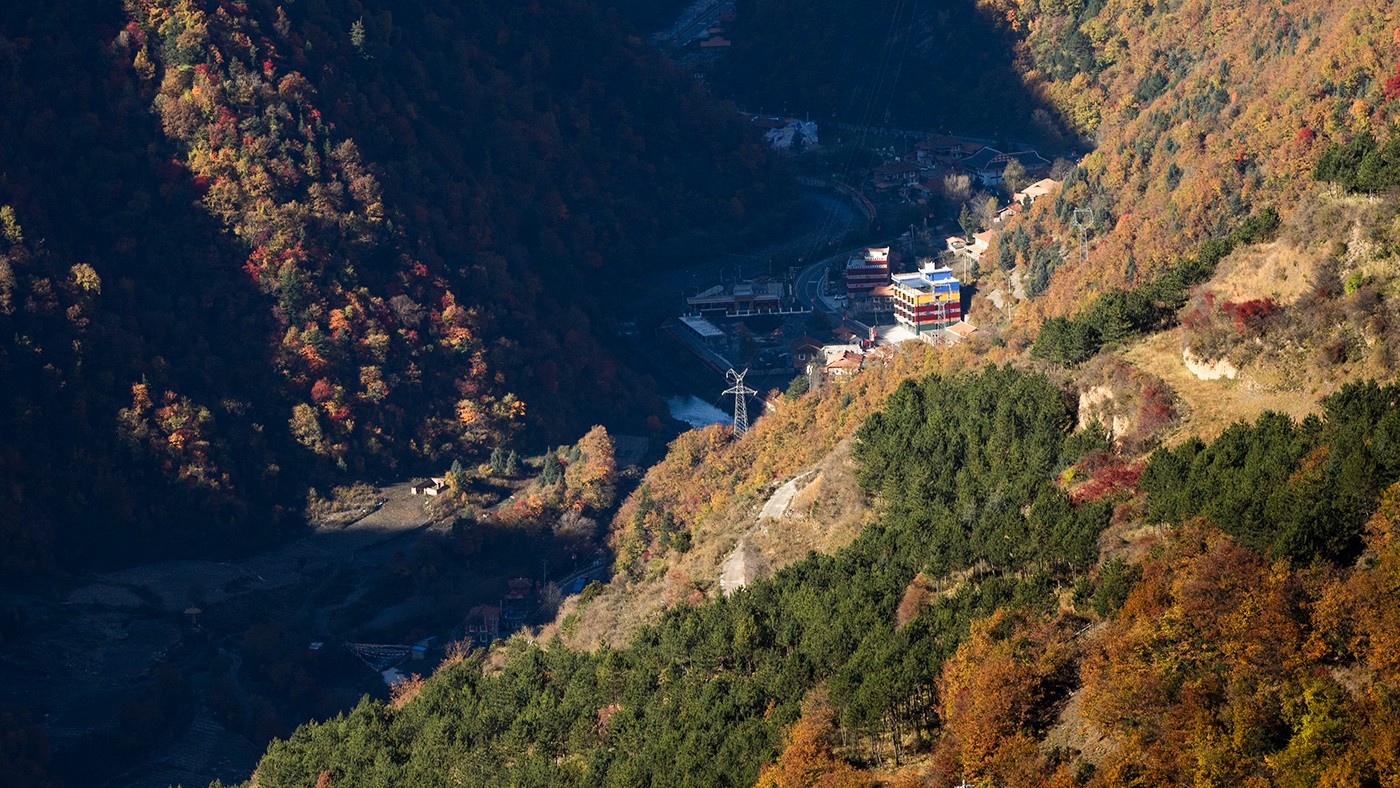 PB010198ab.jpg