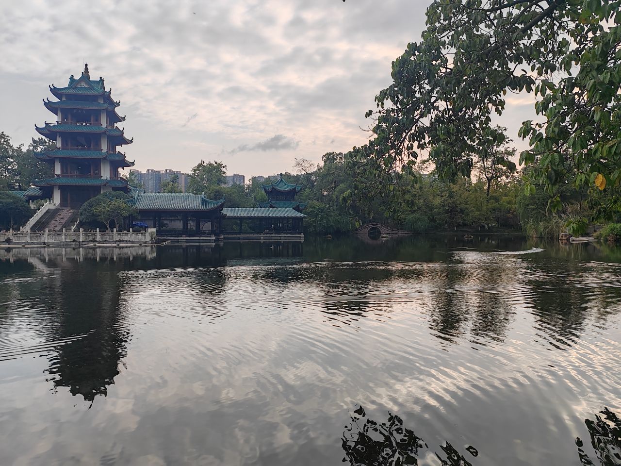 新都桂湖景区图片