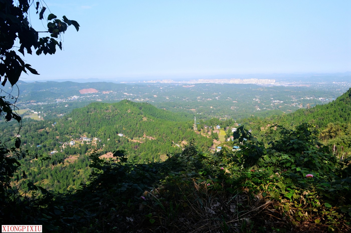 DSC_2813.JPG