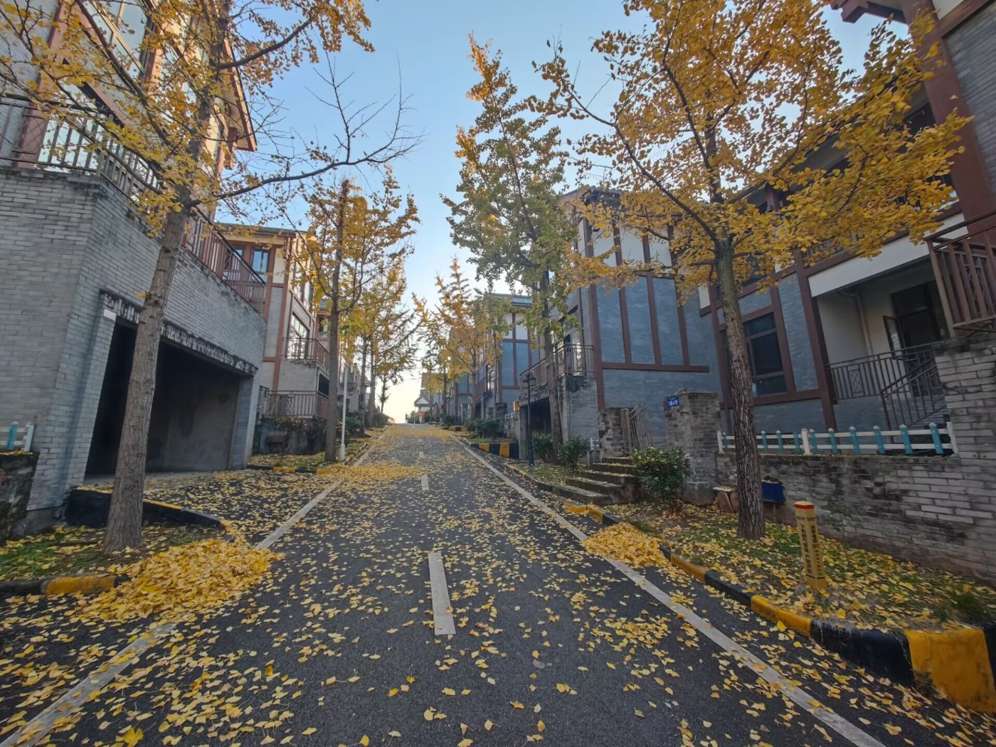 QQͼƬ20231127185918.jpg