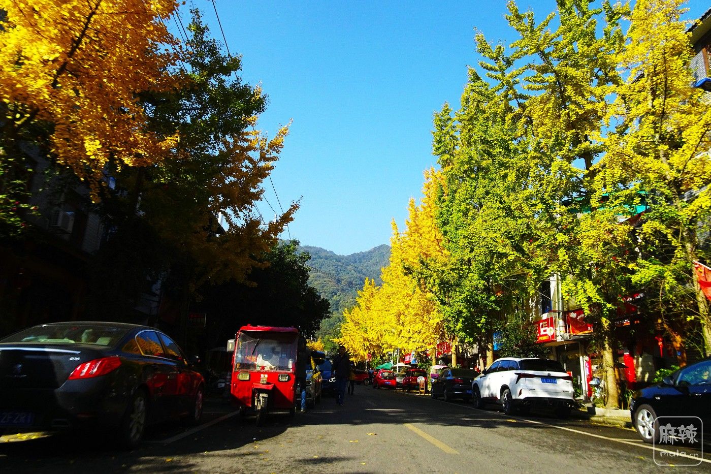 DSC08826.JPG