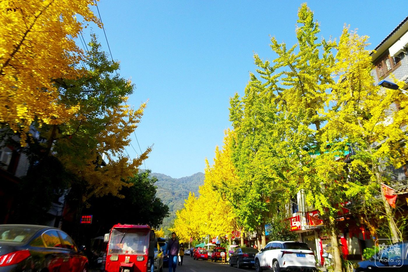 DSC08827.JPG