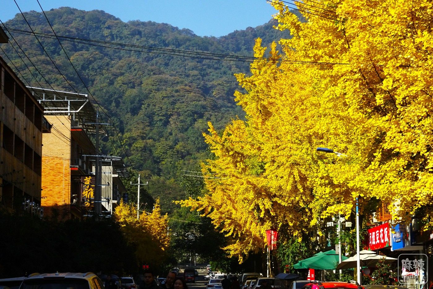 DSC08830.JPG