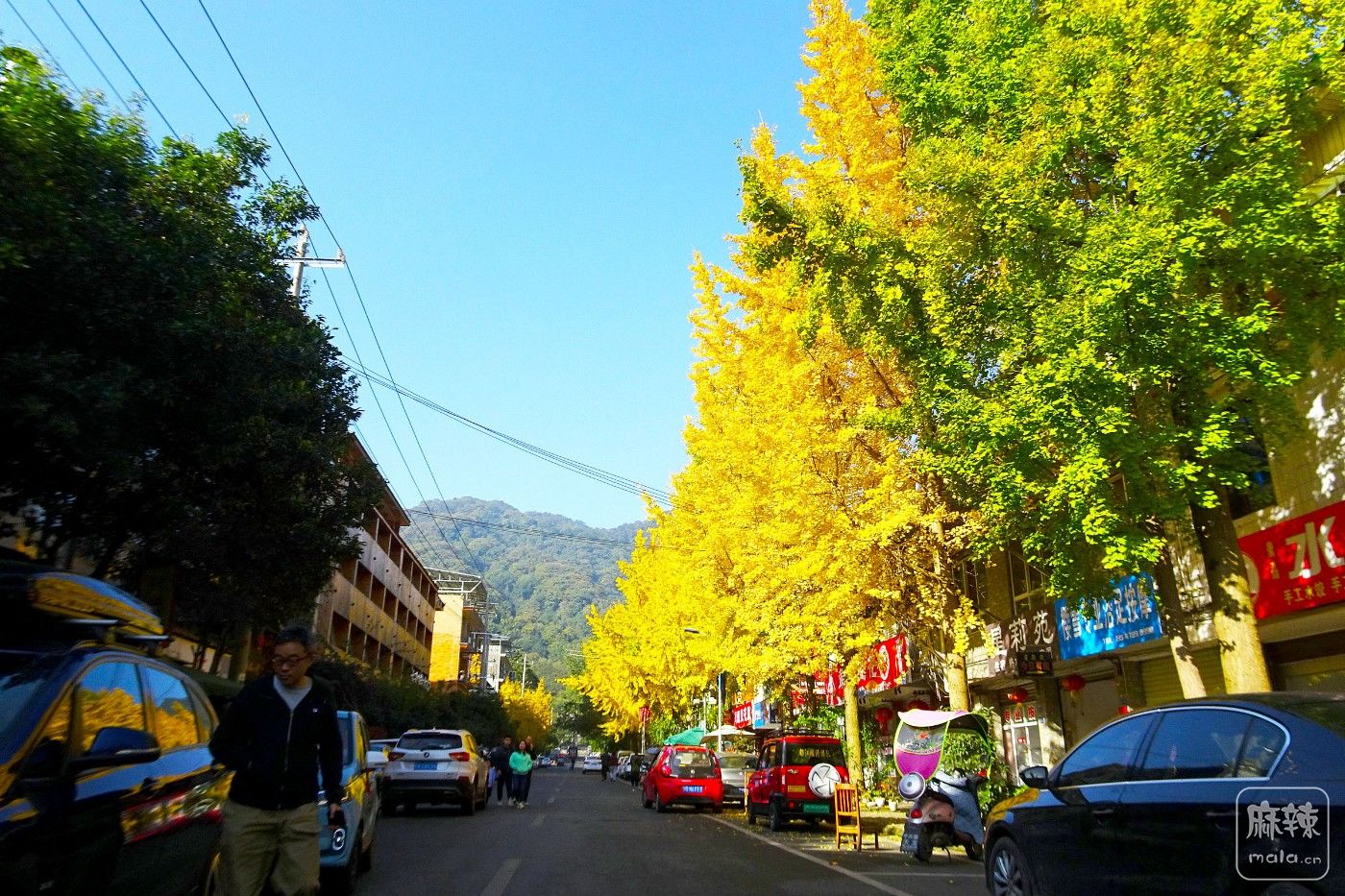 DSC08829.JPG
