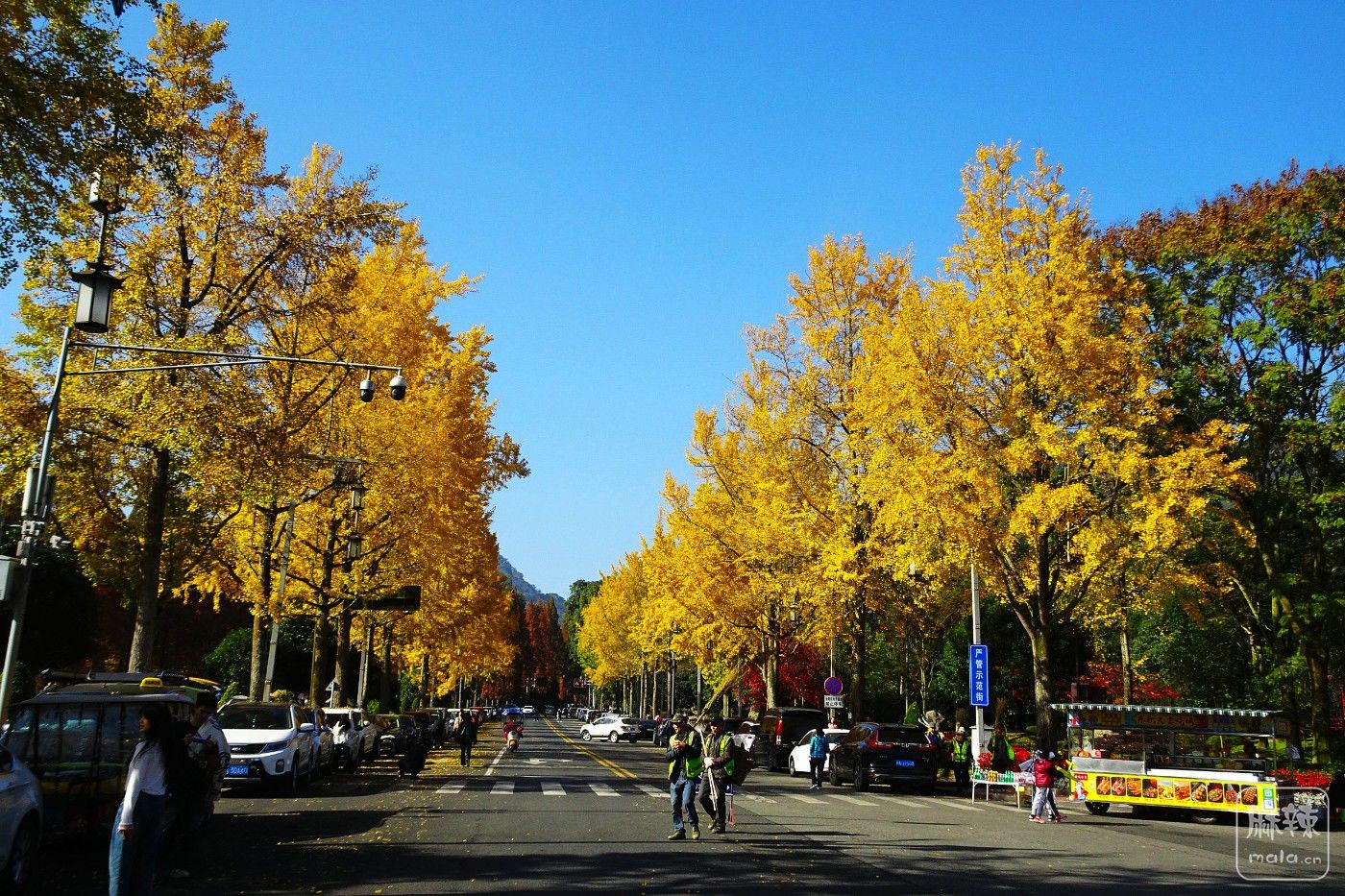 DSC08854.JPG