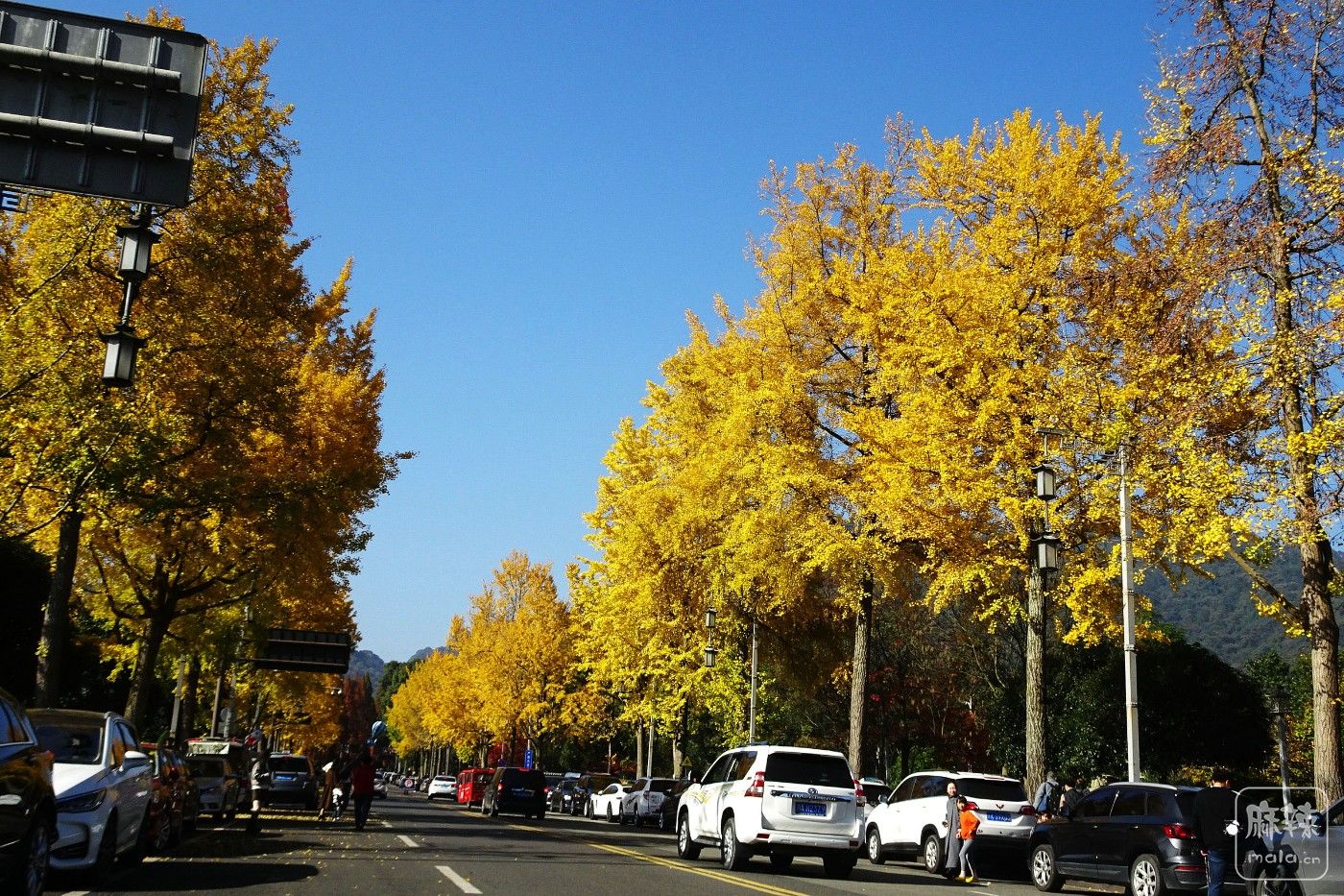 DSC08848.JPG