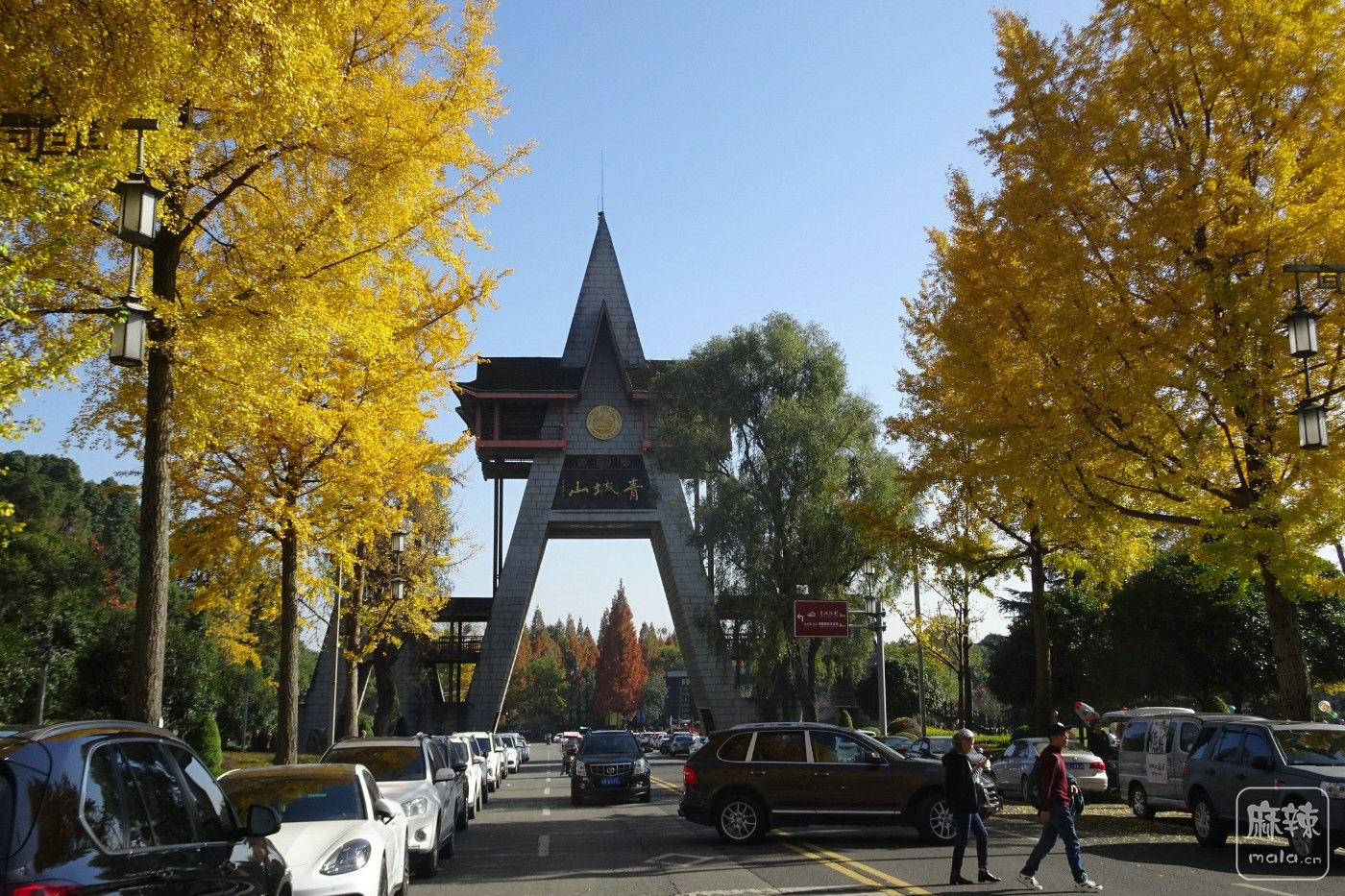 DSC08851.JPG