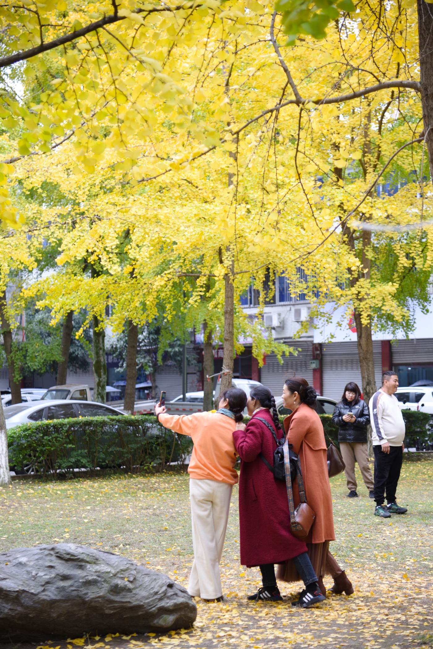 DSC_7434.JPG