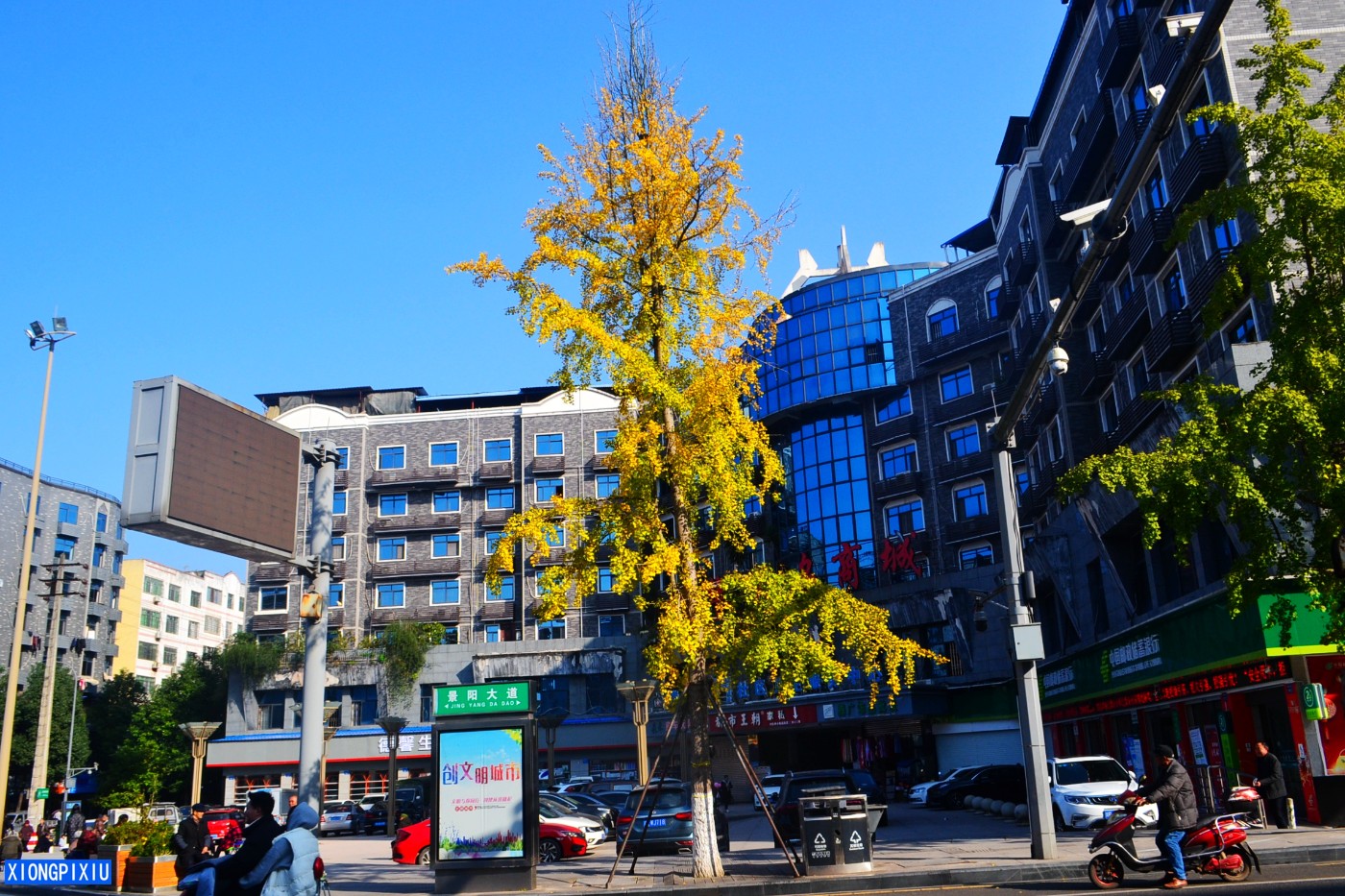 DSC_2932.JPG