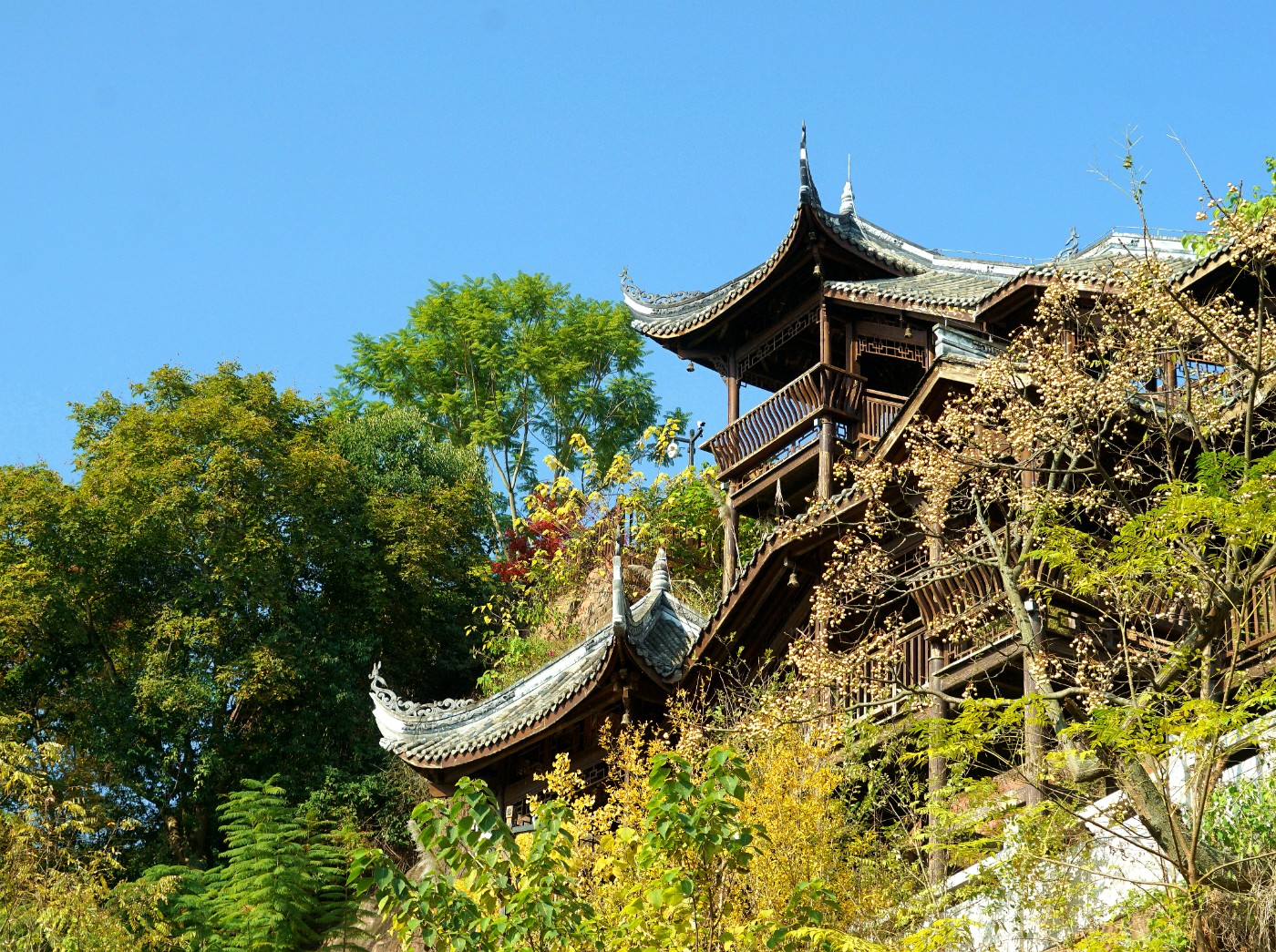 DSC09125_.jpg