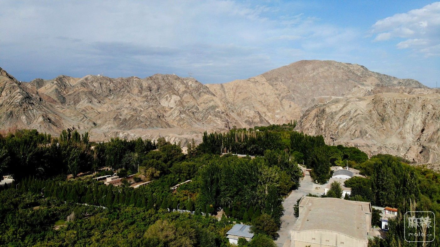 DJI_0994.JPG