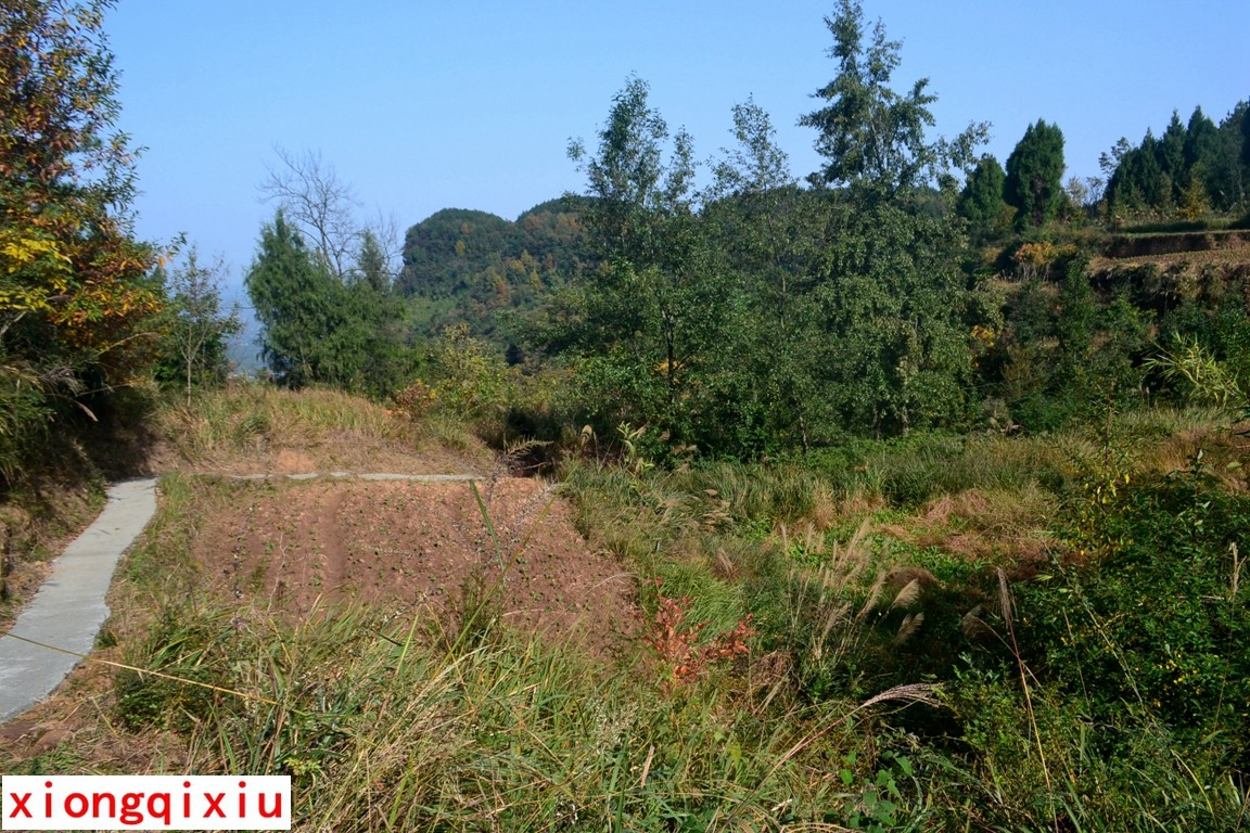 DSC_3096.JPG