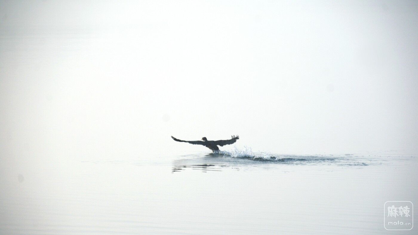 CD1_8582_.jpg