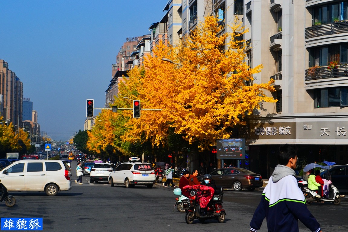 DSC_3255.JPG