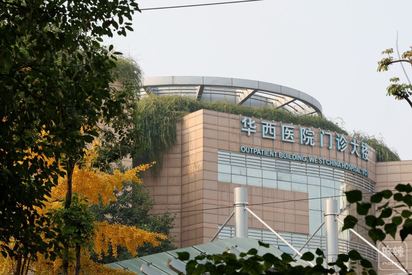 3S4A2455.jpg