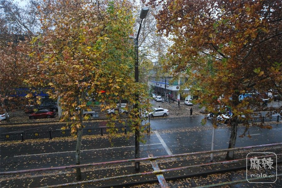 DSC_3675.JPG