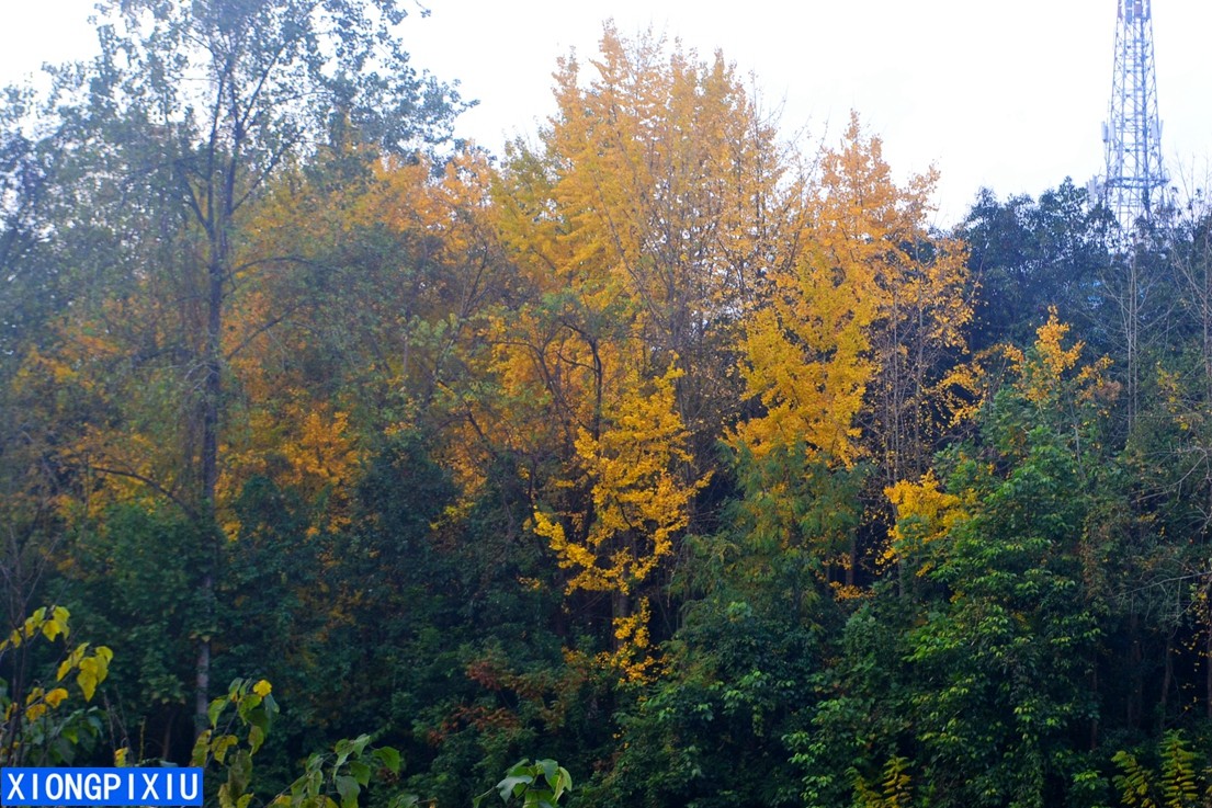 DSC_3108.JPG