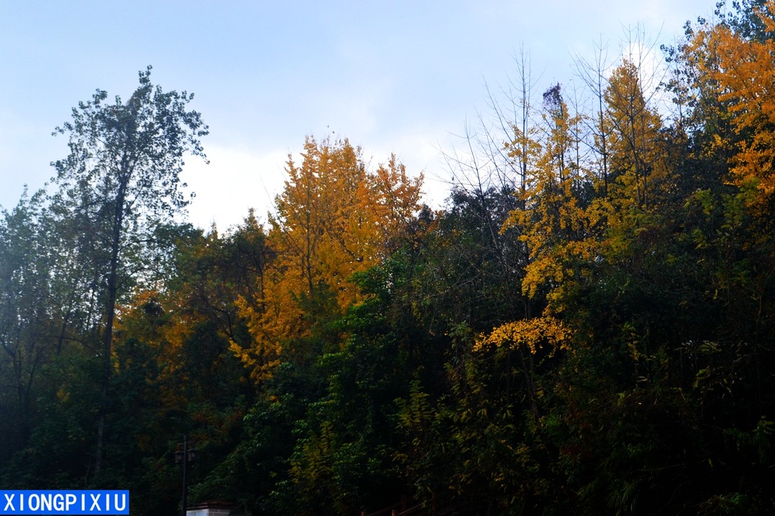 DSC_3113.JPG