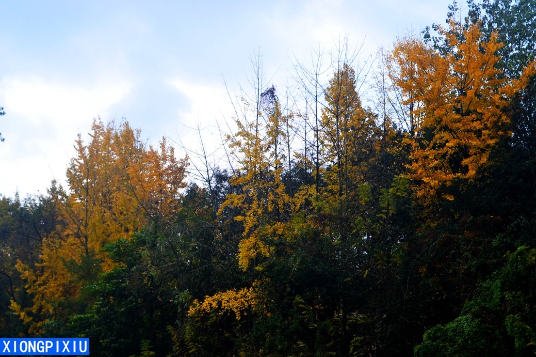 DSC_3115.JPG