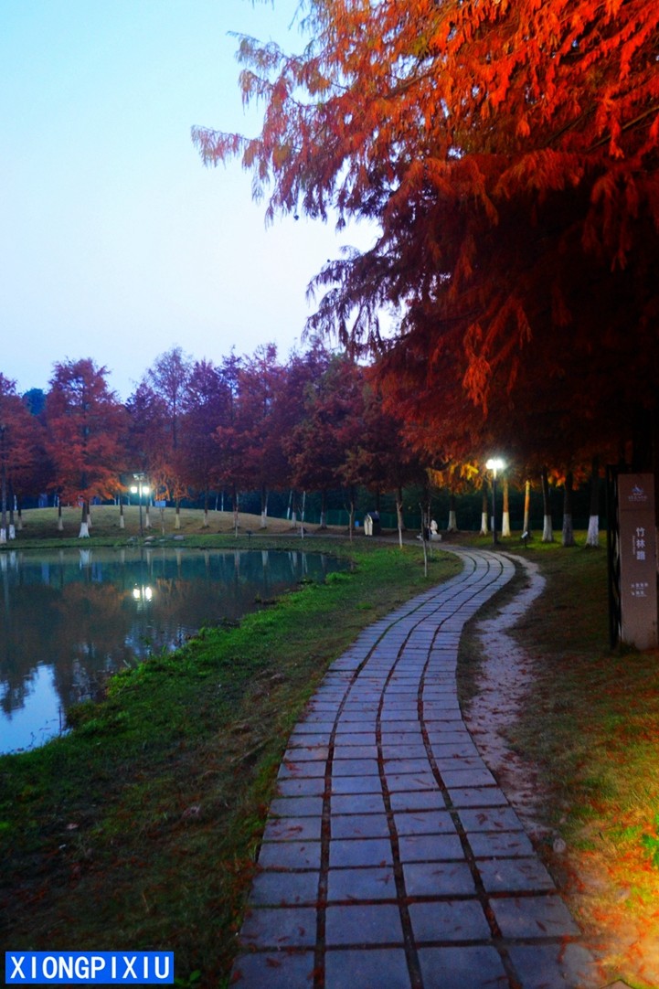 DSC_3300.JPG