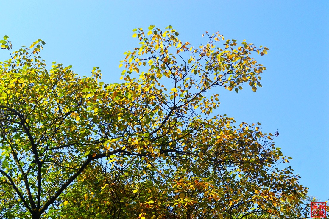DSC_3150.JPG