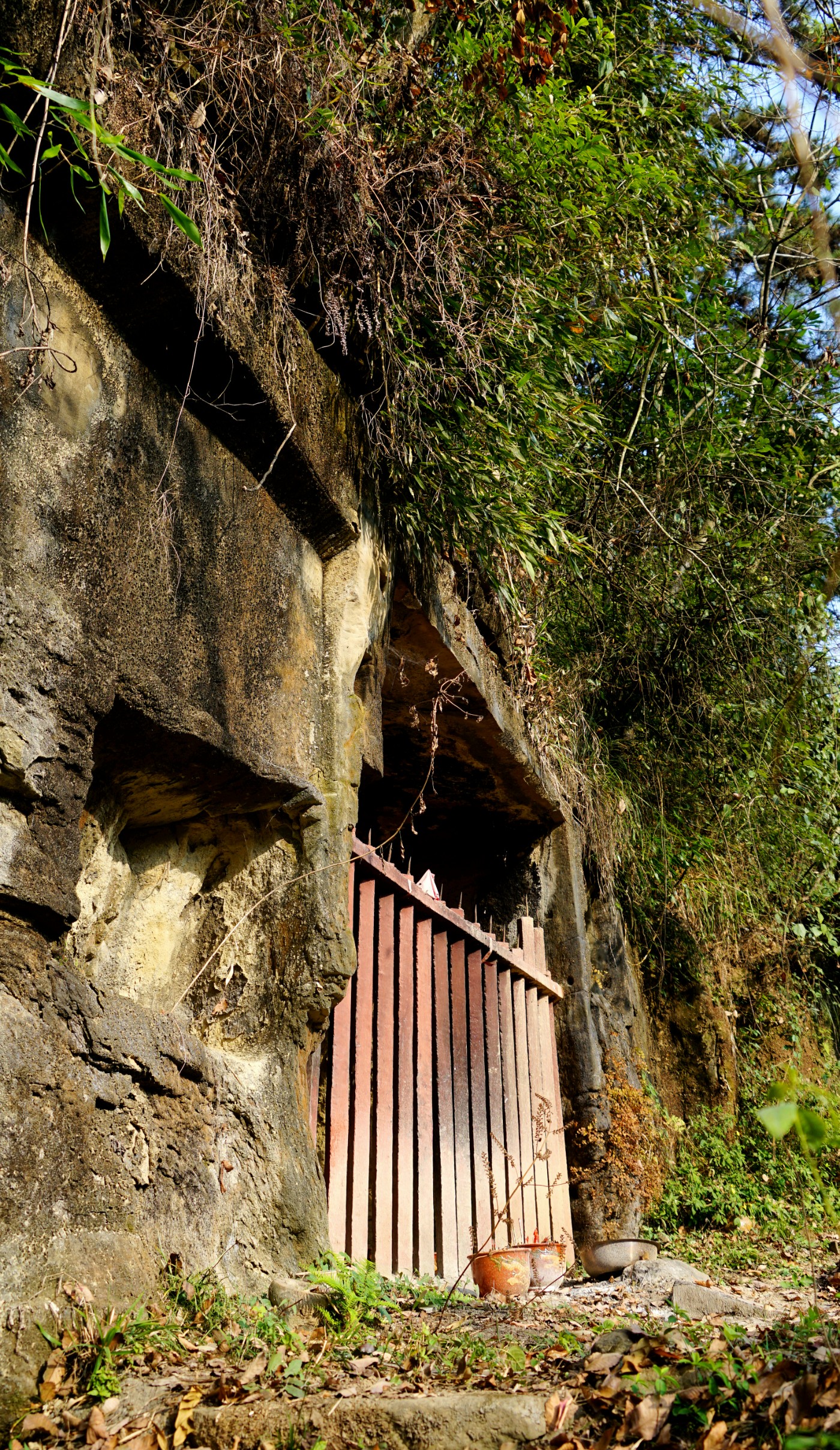 DSC02531_.jpg