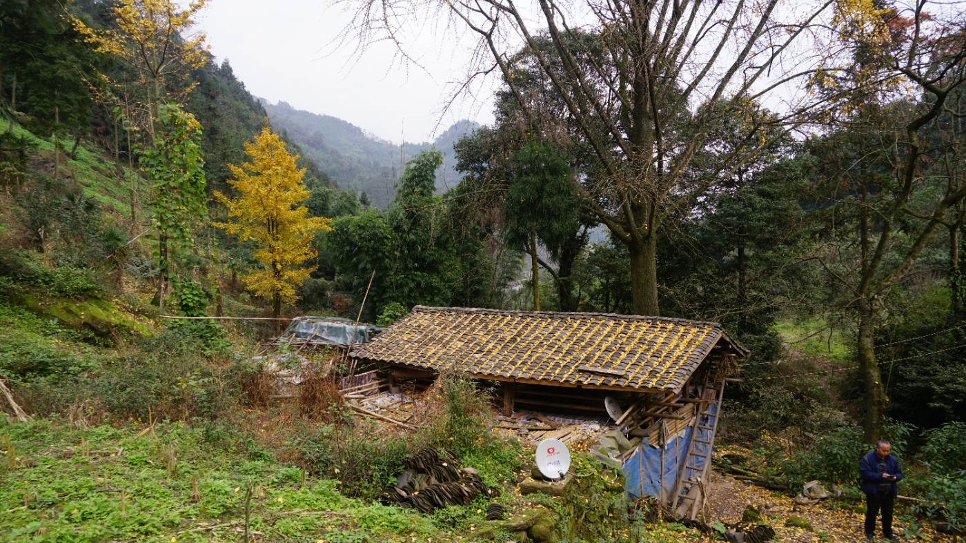 DSC04185.JPG