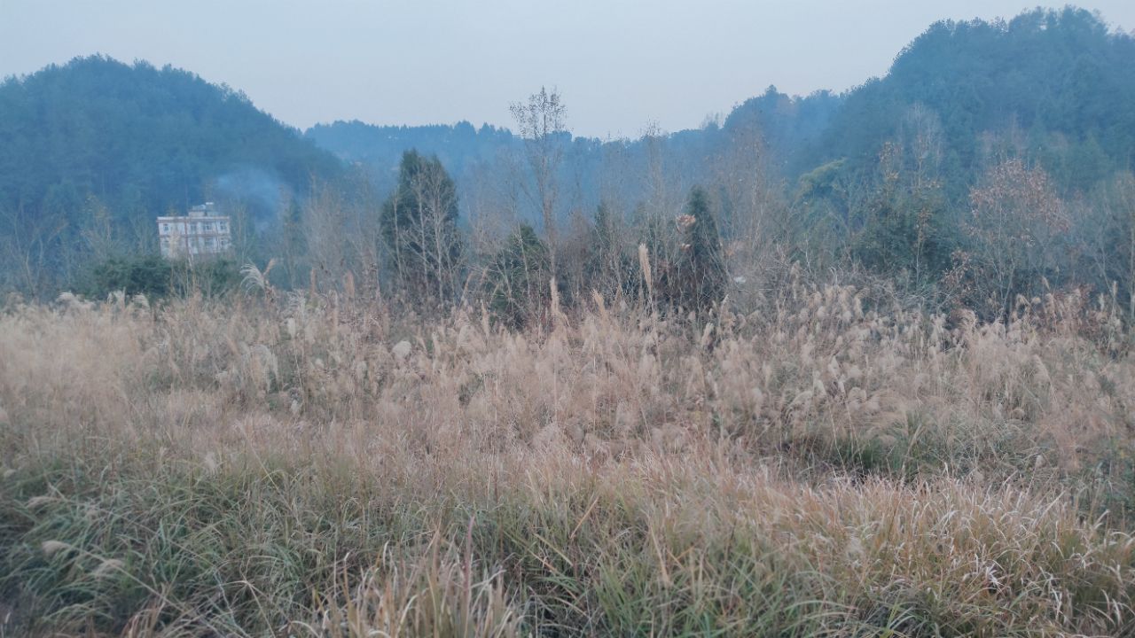 20240112023742front2_0_7526872_FirNdPUCOBz-vDhl1XxDFSQotrm3.jpg