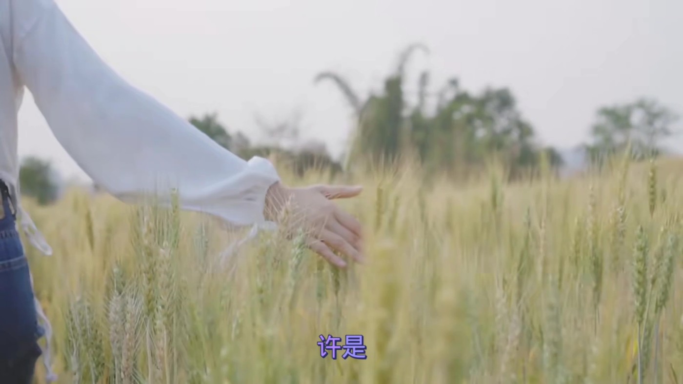 ǳ ˭յס쳤ؾ37.jpg
