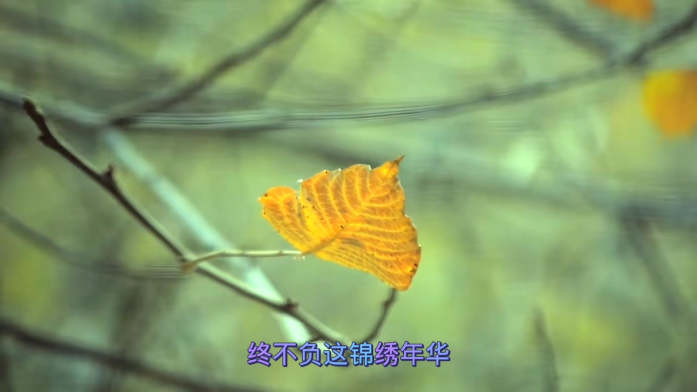 ǳ ˭յס쳤ؾ42.jpg