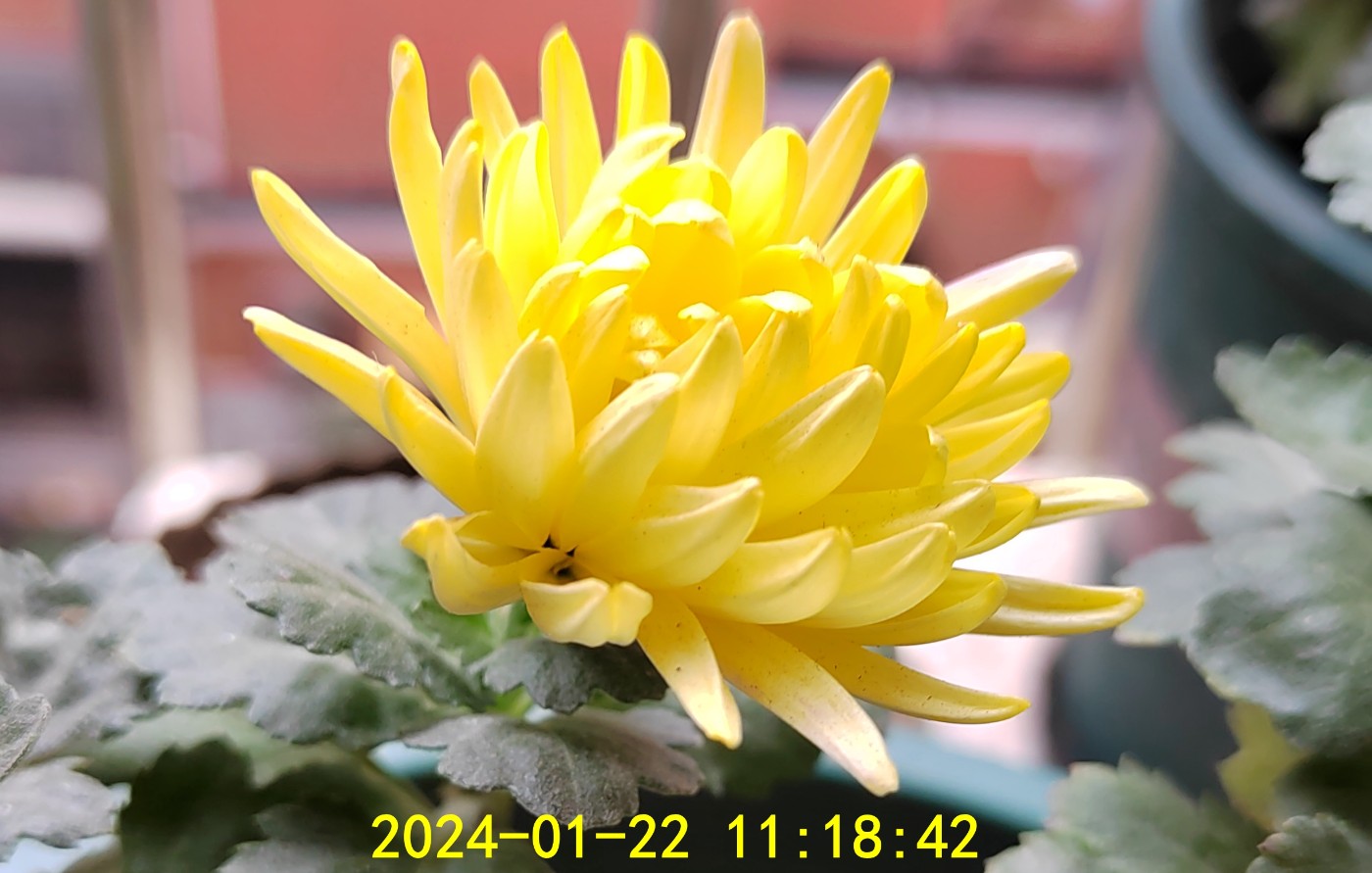 IMG_20240122_111842.jpg