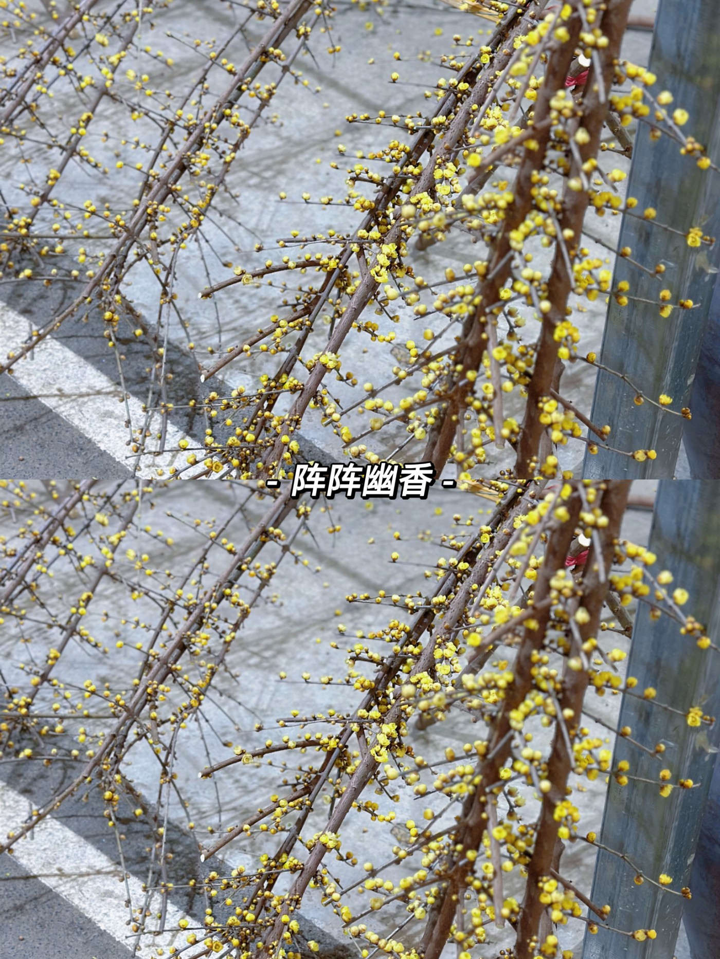 ΢ͼƬ_20240123133524.jpg