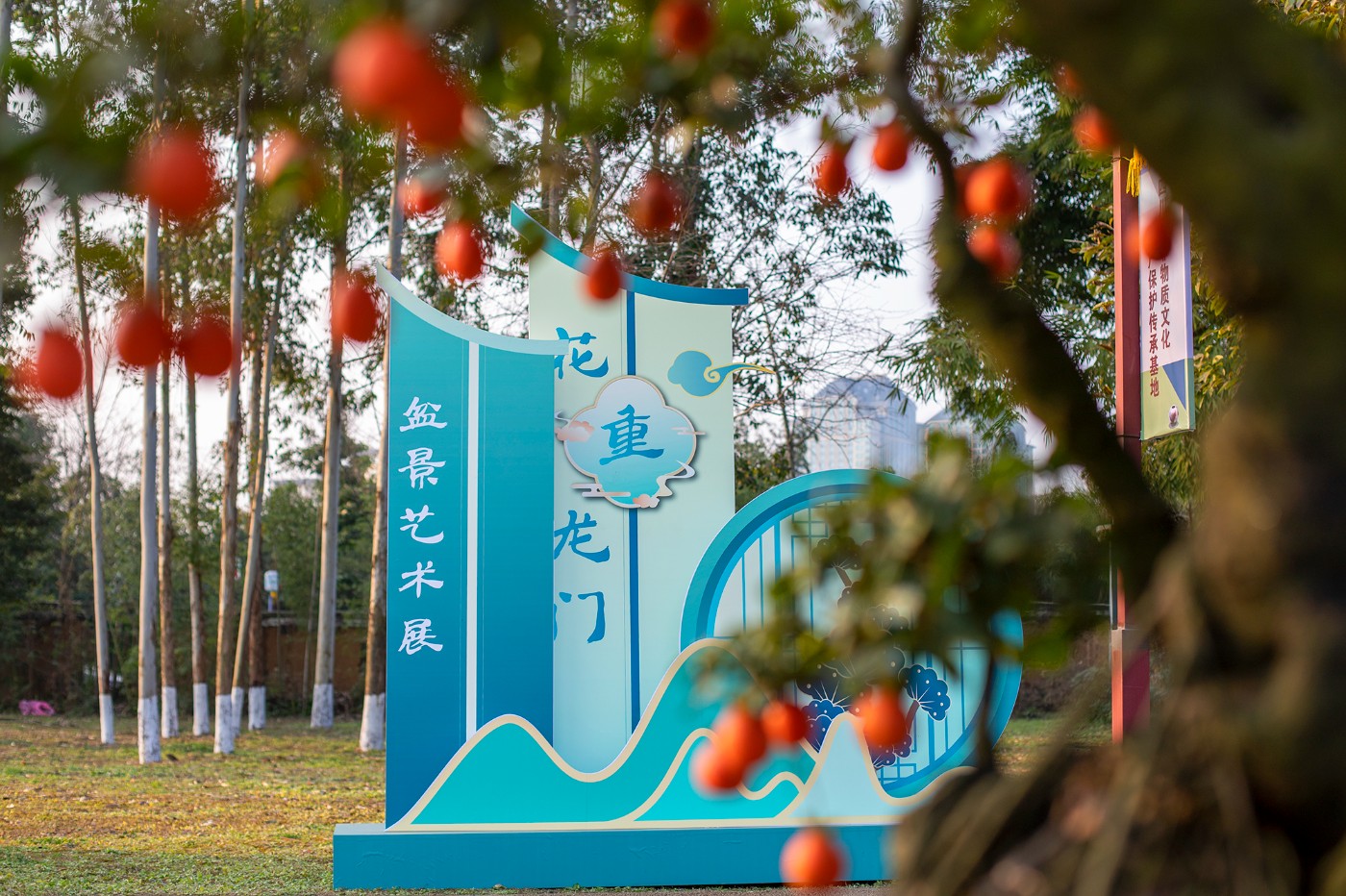 _MG_9791.jpg