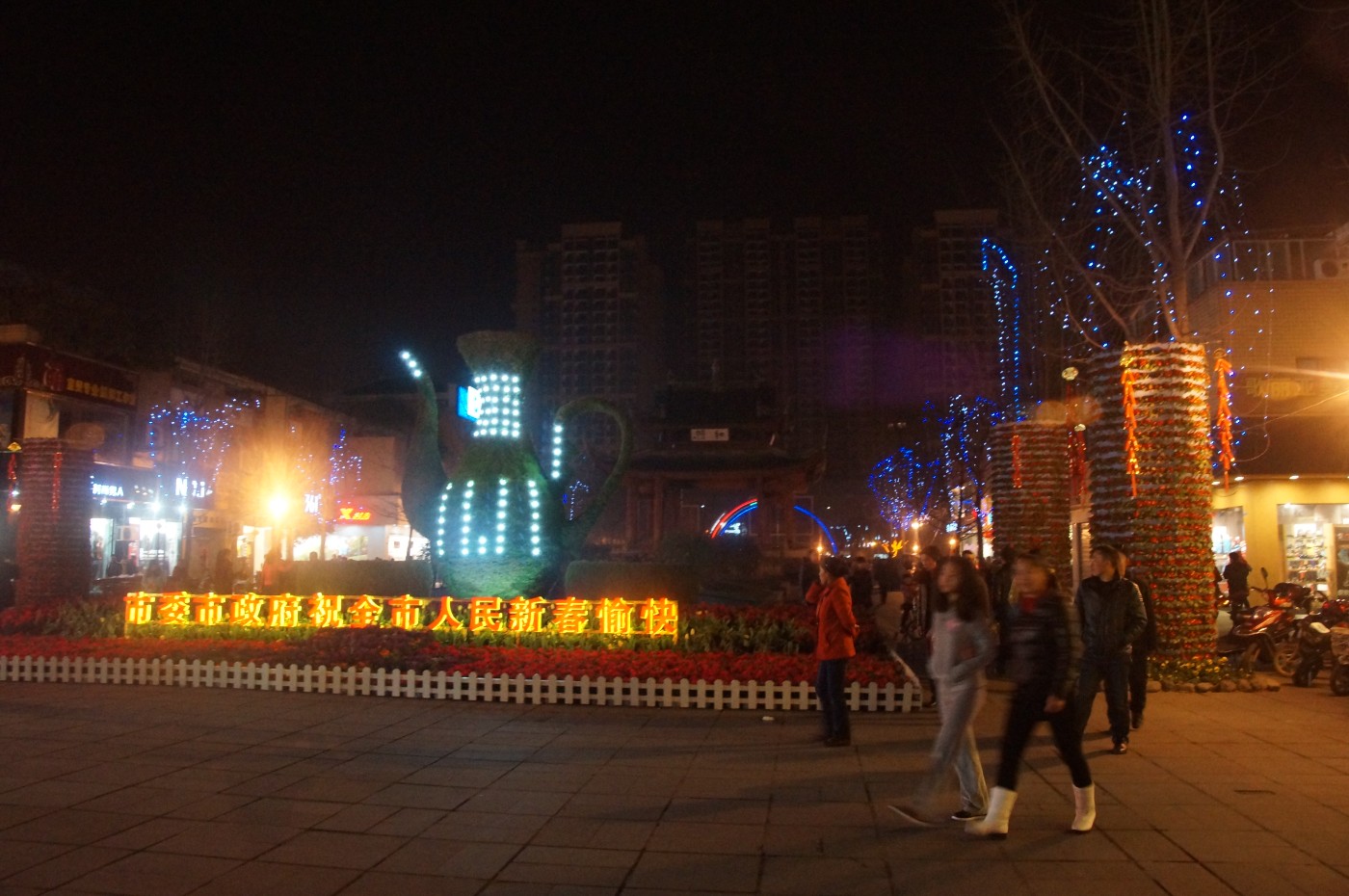 DSC00528.JPG
