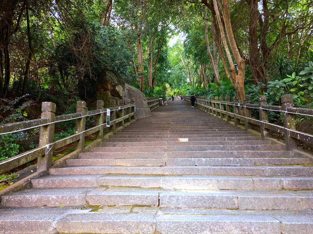IMG_20231221_130305_.jpg