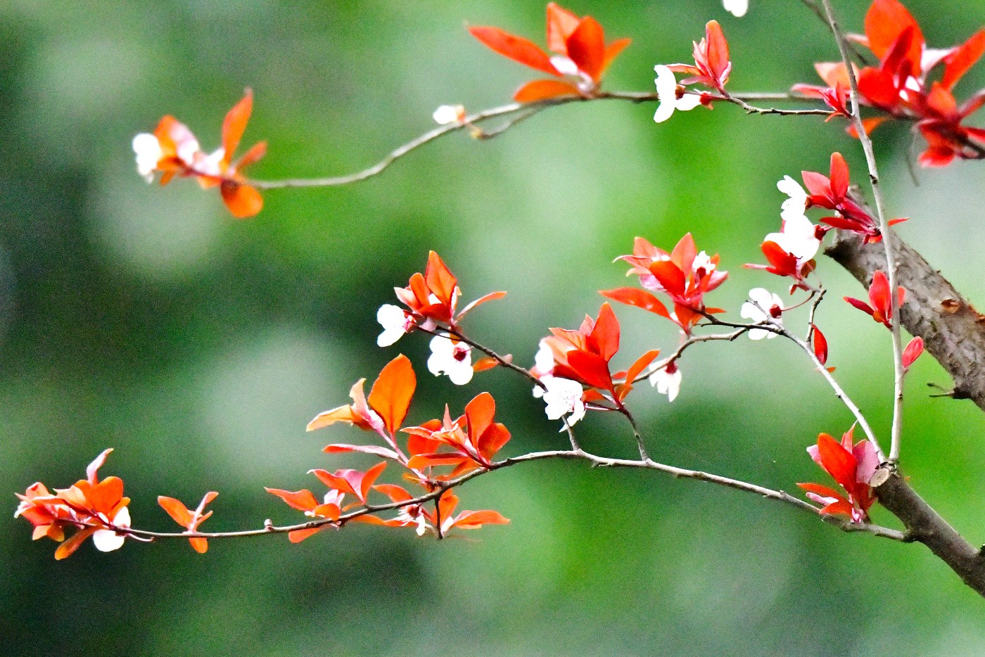 DSC_3420.JPG