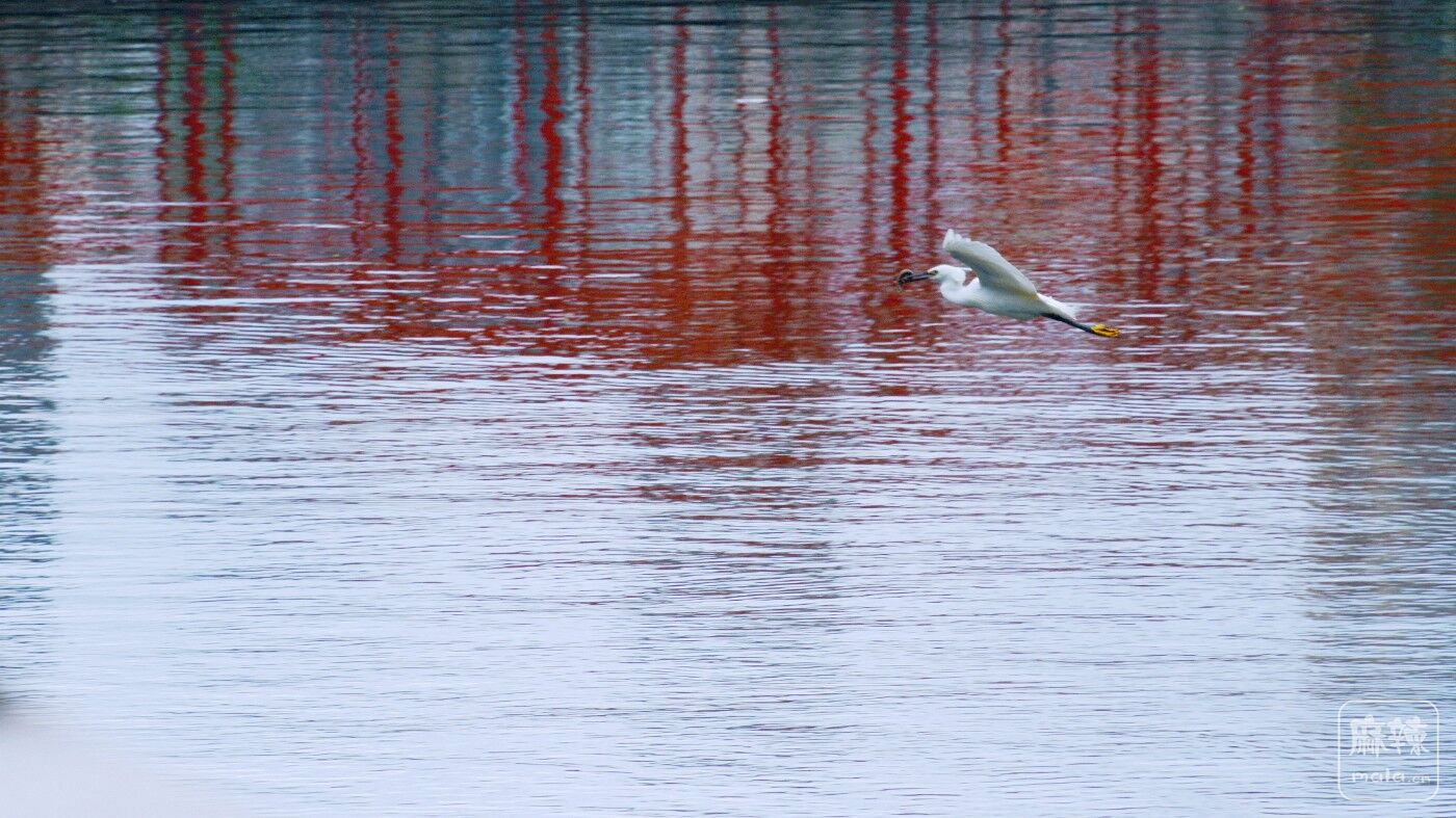 CD1_8073_.jpg