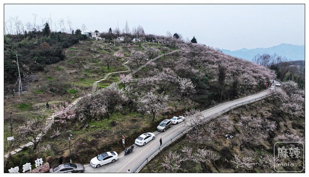 DJI_20240218153119_0002_D.jpg