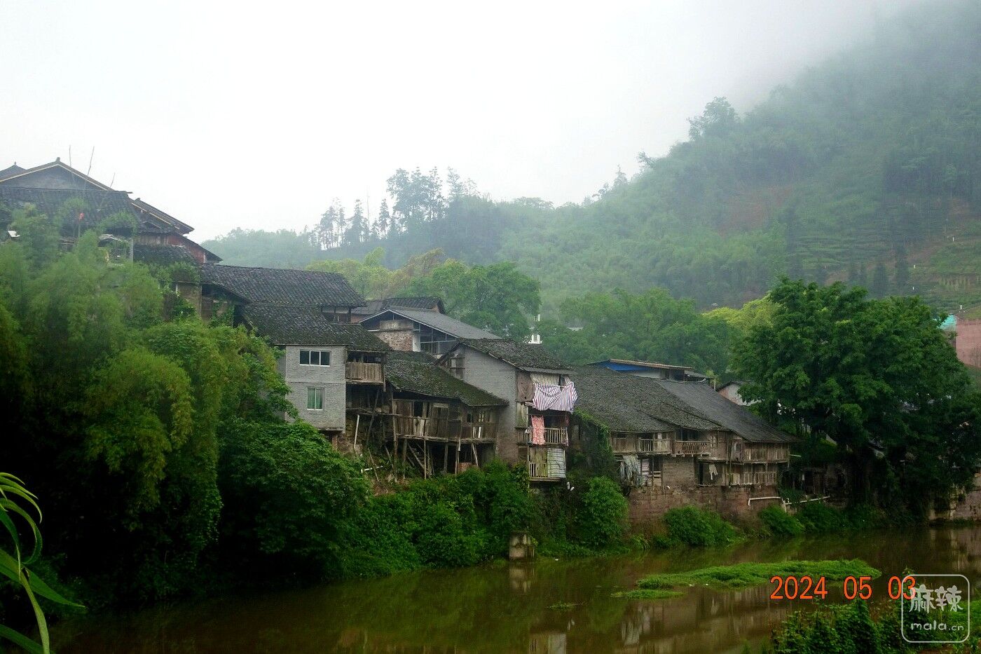 DSC01776.JPG