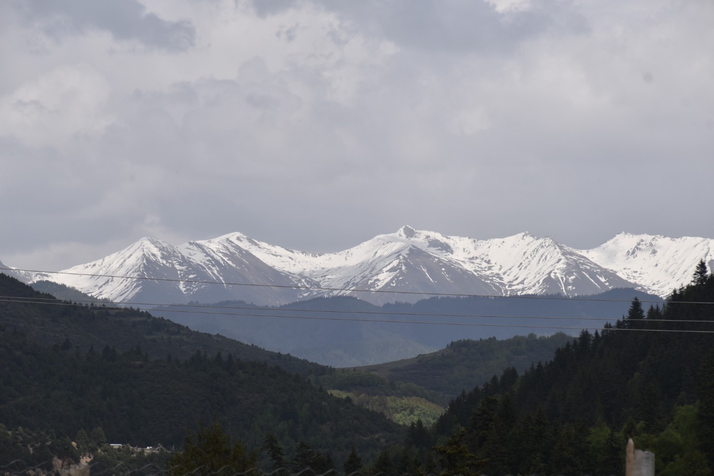 DSC_4779.JPG