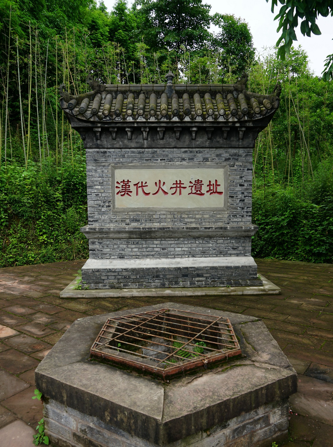 DSC08559_.jpg