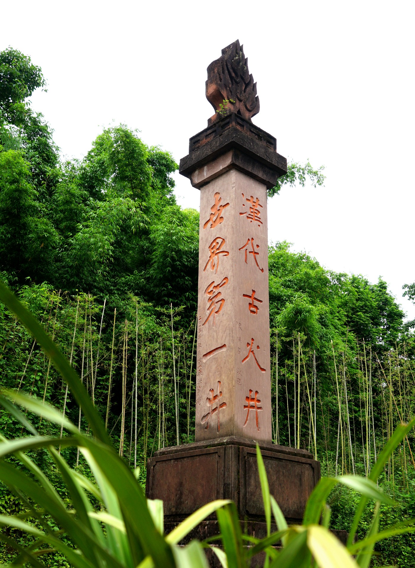 DSC08558_.jpg