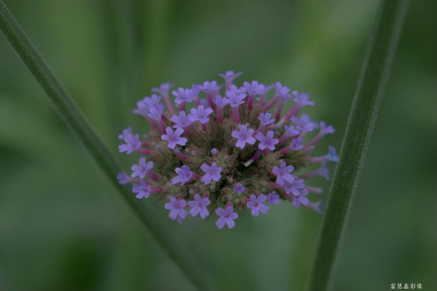 DSC04215_.jpg