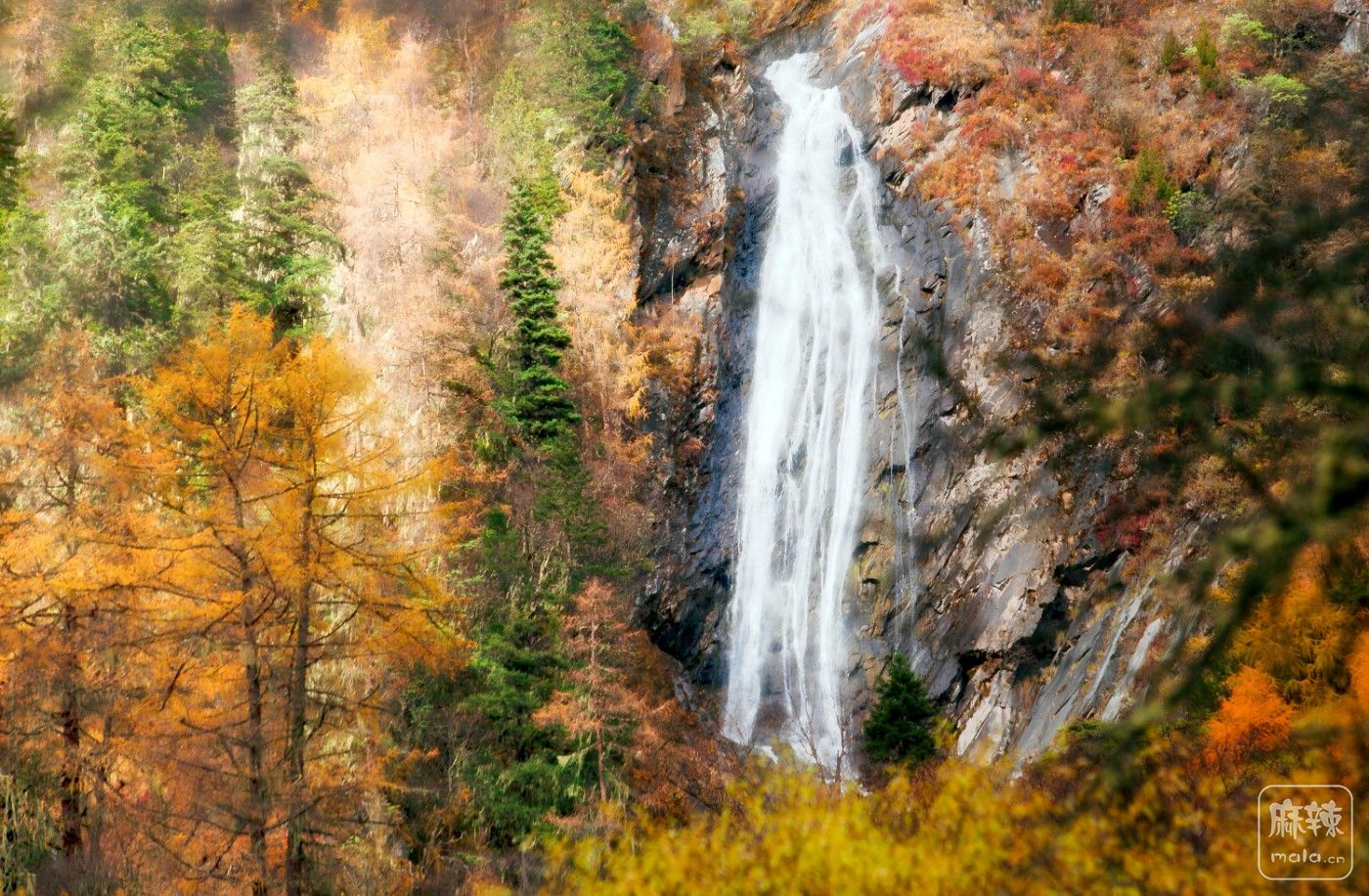 _MG_4530..jpg