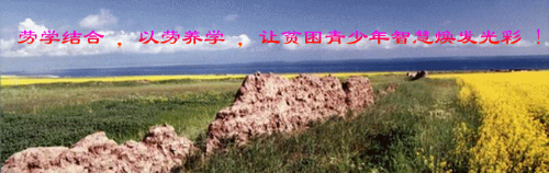 Image_1710846137824.gif