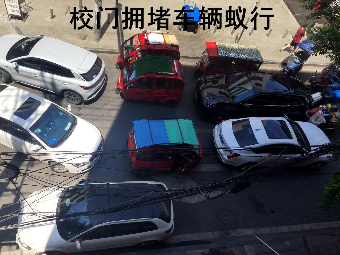 IMG_20240826_120415.jpg