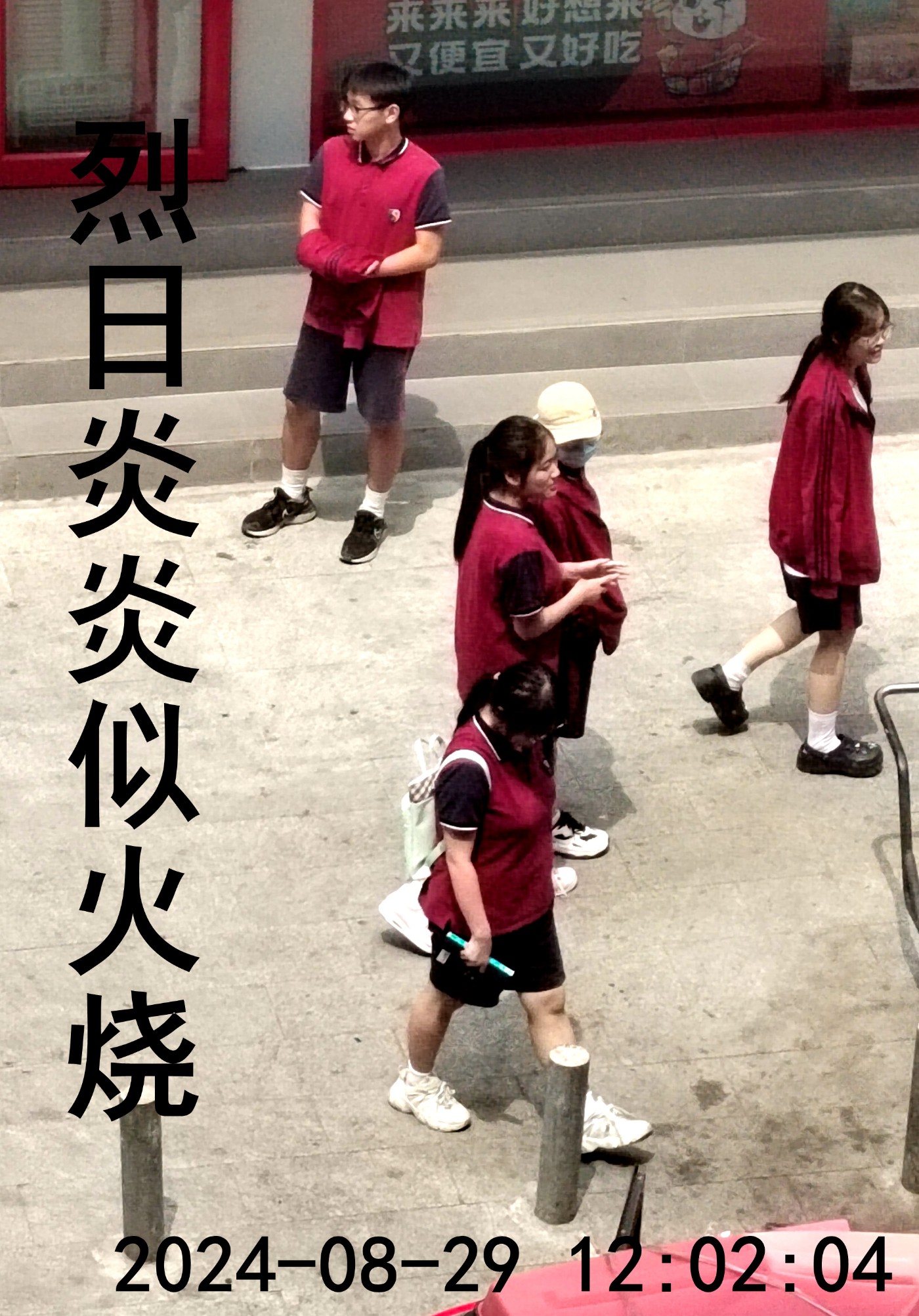 IMG_20240829_120204.jpg