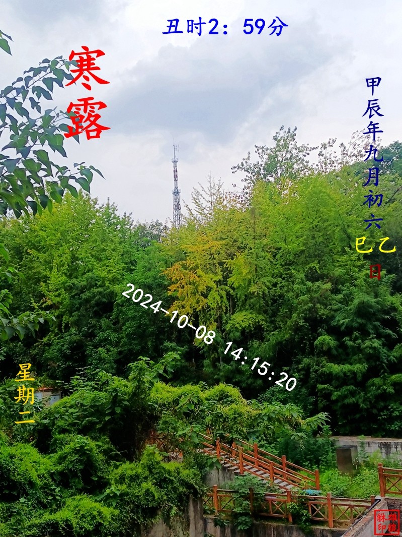 IMG_20241008_141519_.jpg